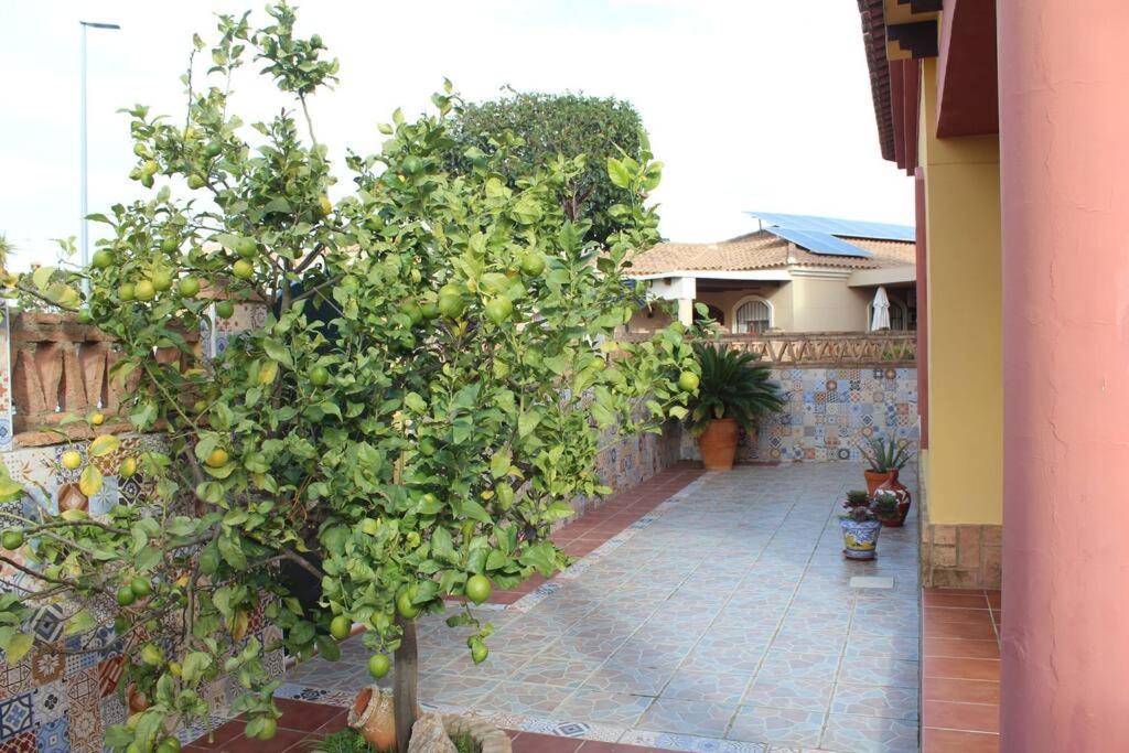 Casa 4 Dormitorios En Ayamonte Zewnętrze zdjęcie